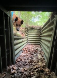 Mehr über den Artikel erfahren Herbst Geländetraining